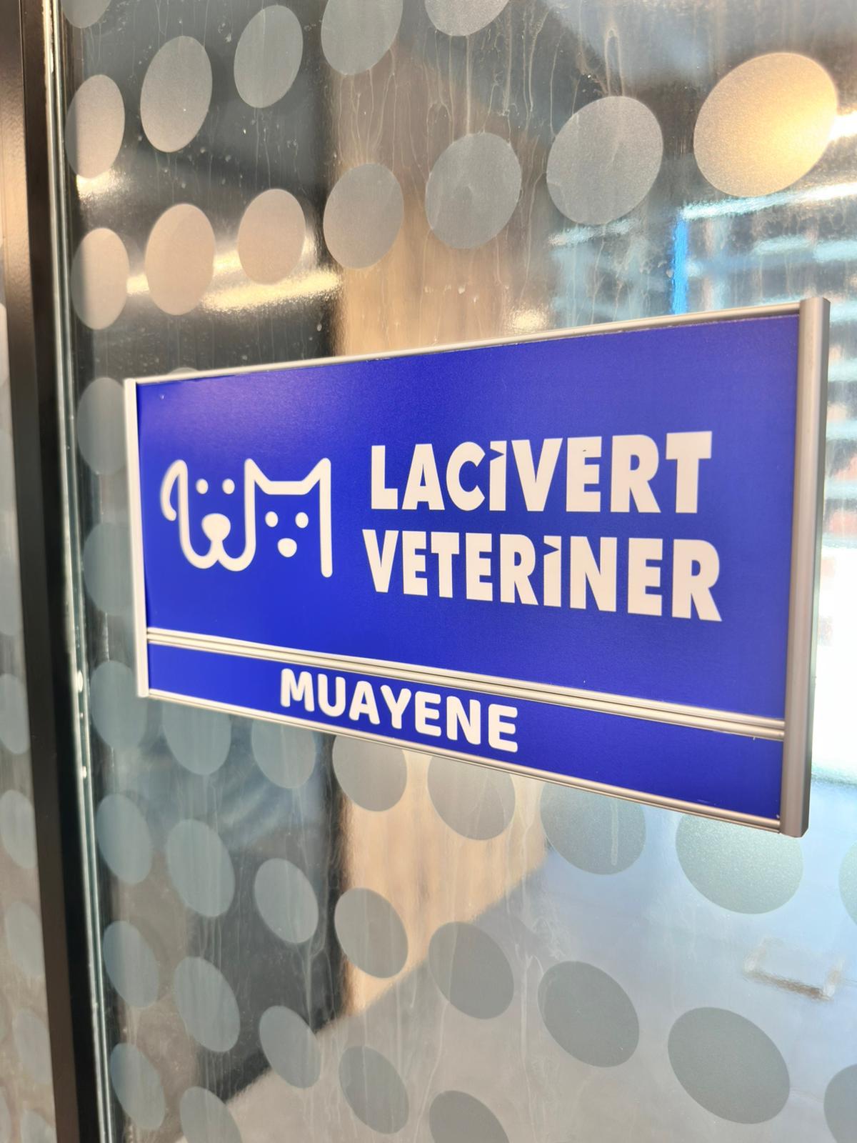 Lacivert Veteriner Klinik Görsel 12