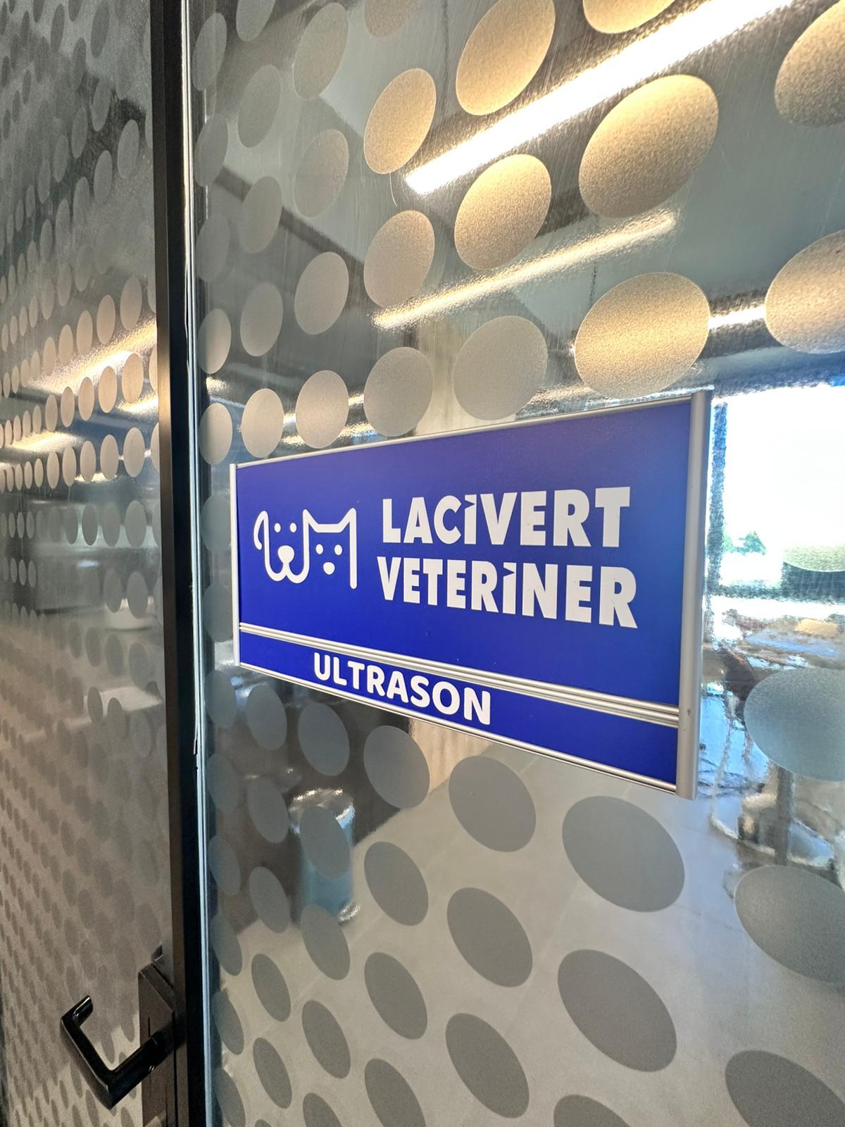 Lacivert Veteriner Klinik Görsel 29