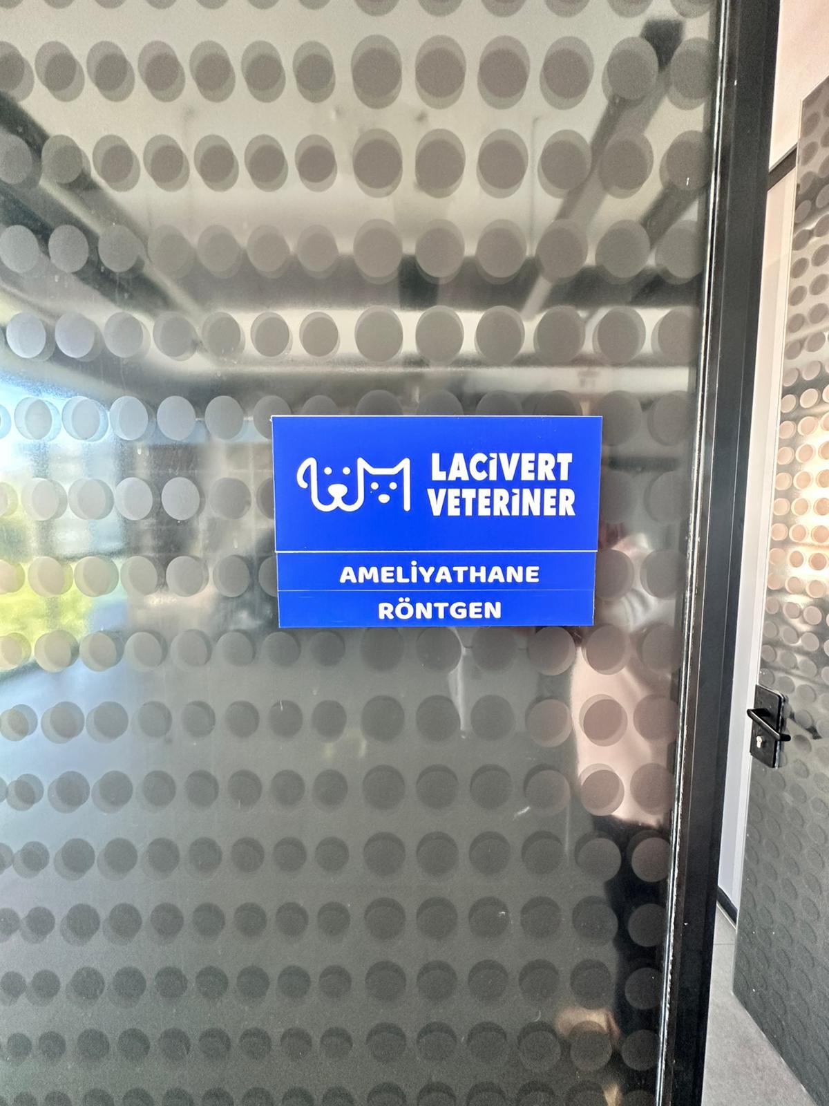 Lacivert Veteriner Klinik Görsel 44