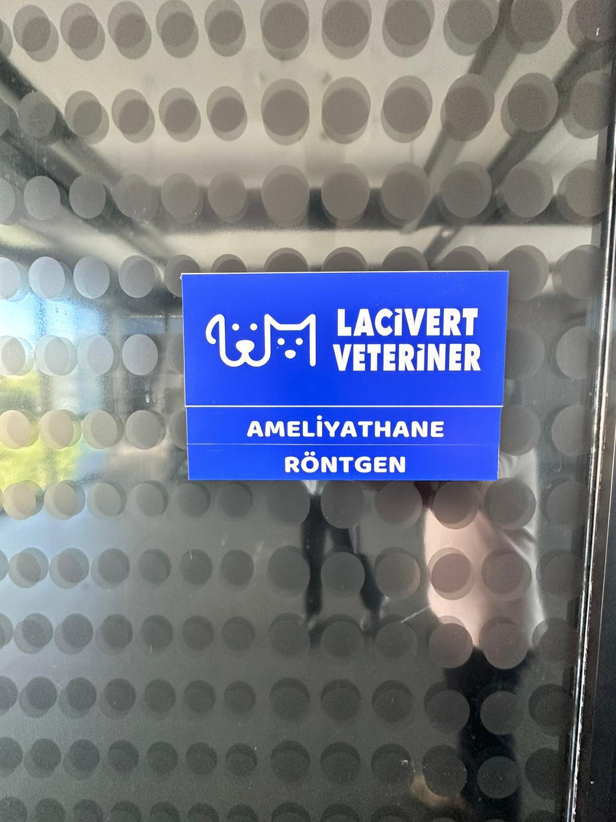 Lacivert Veteriner Klinik Görsel 45