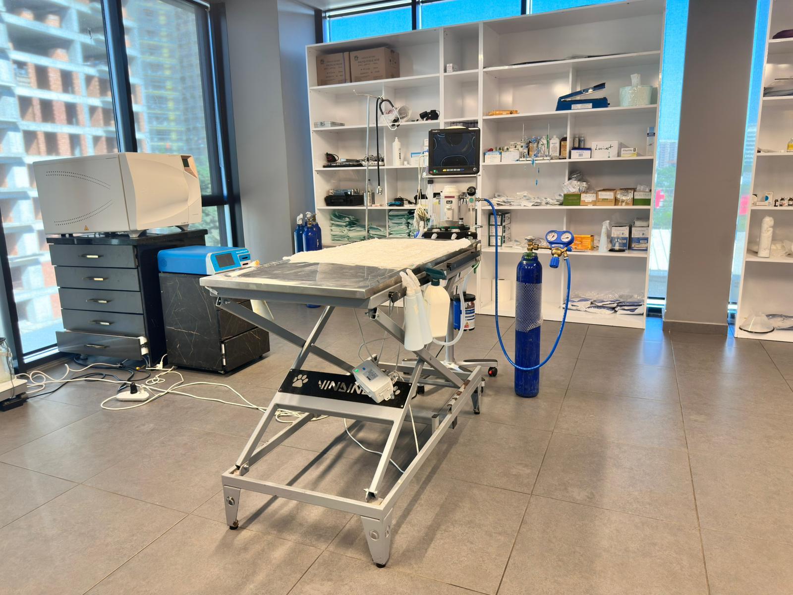 Lacivert Veteriner Klinik Görsel 46