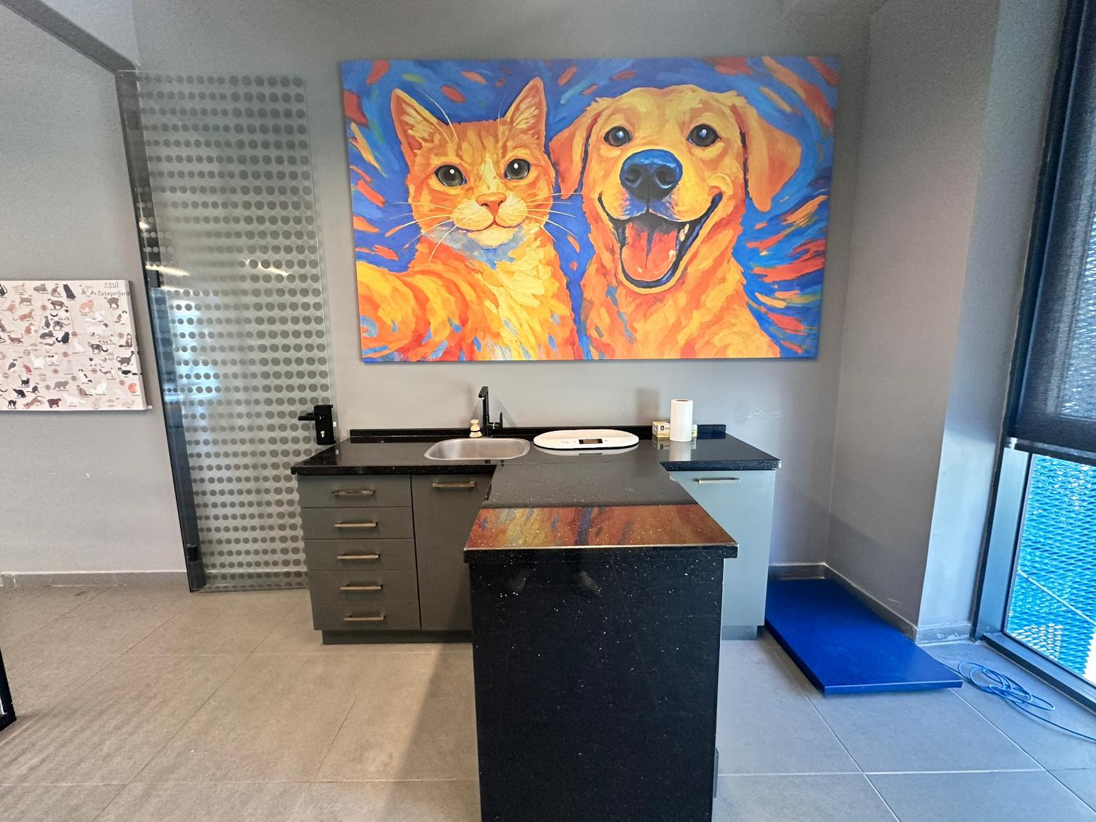 Lacivert Veteriner Klinik Görsel 9